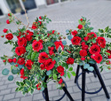 Tombstone decoration with red roses - composition + bouquet