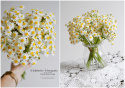 Chamomile - set of 6 bouquets