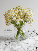 Chamomile - set of 6 bouquets