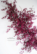 Mini orchid branch - FUCHSIA 180 cm