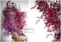 Mini orchid branch - FUCHSIA 180 cm