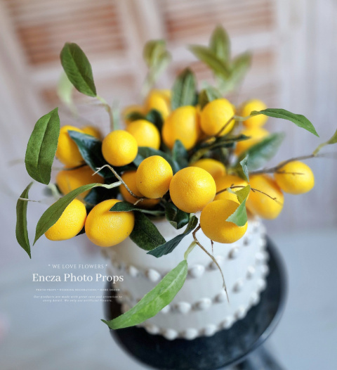 Lemon branch - 6 pieces