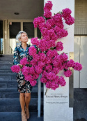 Gałąż hortensji - MAGENTA - 160 cm