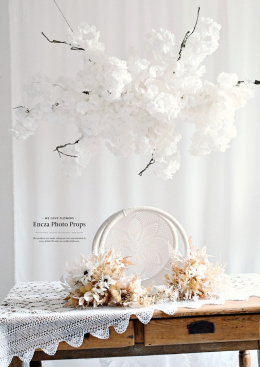 Mini branch for NB session - Vanilia