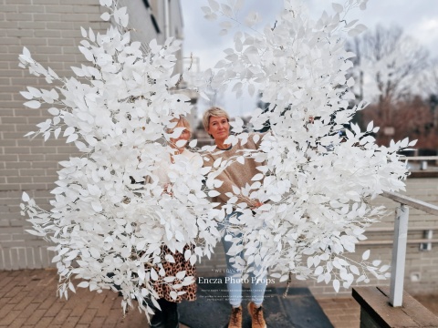 Biała gałąż fikusa - 170 cm Biała gałąż fikusa - 170 cm