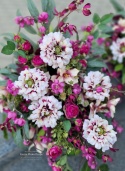 Tombstone decoration - ZINNIAS - Composition + Bouquet