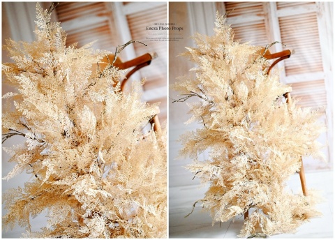 Gałąż BOHO - Carmel- 160 cm Gałąż BOHO - Carmel- 160 cm