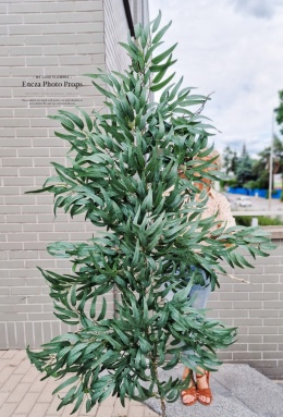 RUSKUS branch - 180 cm