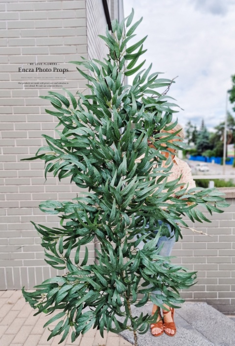 Gałąż RUSKUSA - 180 cm Gałąż RUSKUSA - 180 cm