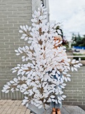 Gałąż FIKUSA - Light Cream - 160 cm