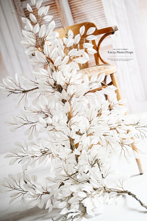 Gałąż FIKUSA - Light Cream - 160 cm Gałąż FIKUSA - Light Cream - 160 cm