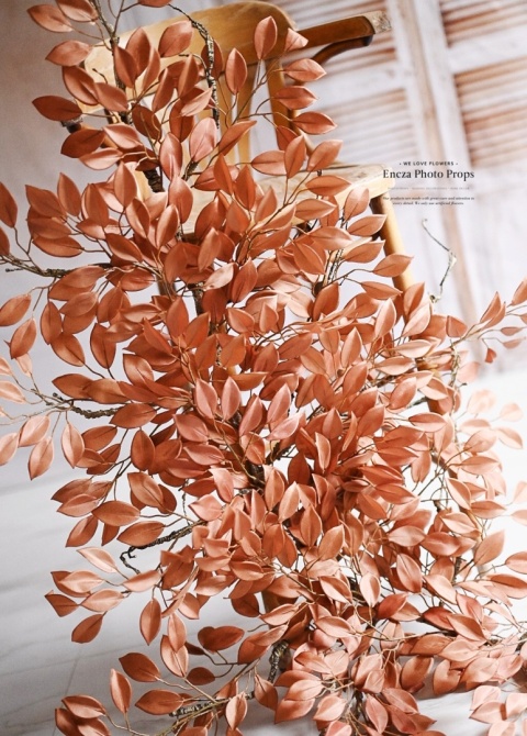 Gałąż FIKUSA - Brązowa - 160 cm Gałąż FIKUSA - Brązowa - 160 cm
