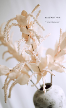 Branche décorative - BOHO