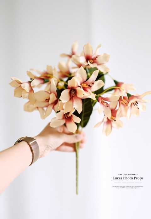 Field lily - bouquet - Spring Field lily - bouquet - Spring