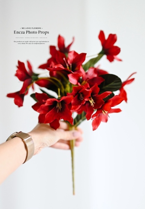 Field lily - bouquet - Red Field lily - bouquet - Red