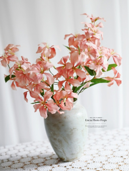 Lilies - 6 pieces - Peach