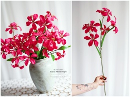 Lilies - 6 pieces - Fuchsia