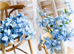 Lilie - 6 sztuk - Blue