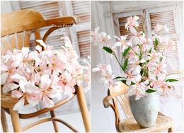 Lilie - 6 sztuk - Light Pink