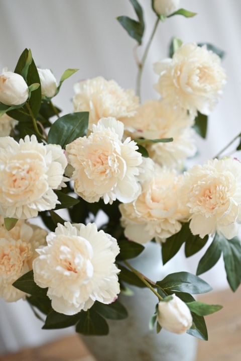 PEONIES - 6 pieces - CREAM PEONIES - 6 pieces - CREAM