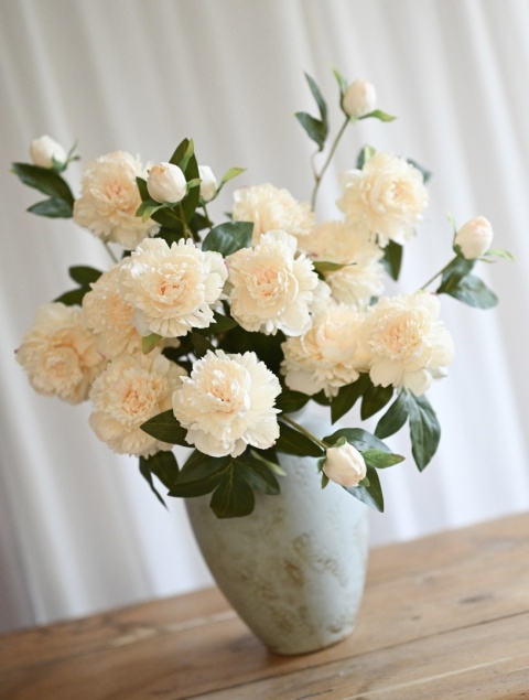 PEONIES - 6 pieces - CREAM PEONIES - 6 pieces - CREAM