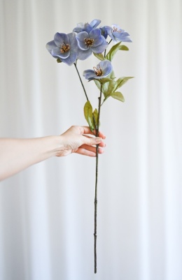 ANEMONES - 6 pieces - BLUE