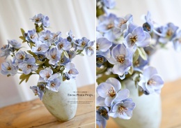 ANEMONES - 6 pieces - BLUE