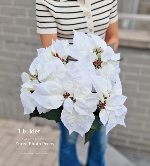 Étoile de Bethléem - bouquet - BLANC Étoile de Bethléem - bouquet - BLANC
