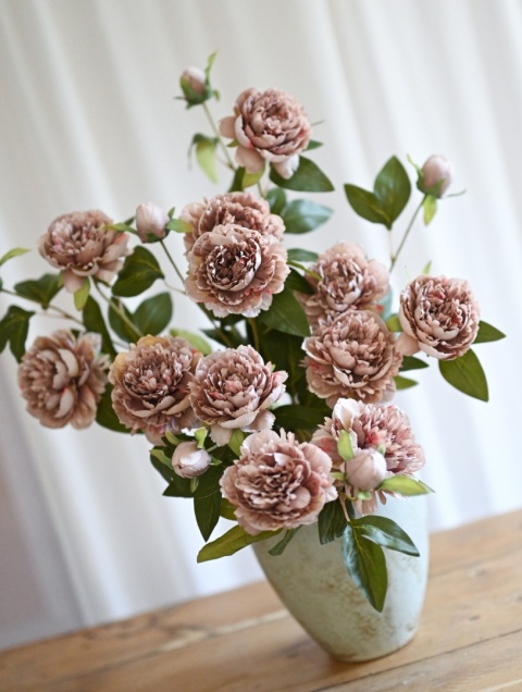 PEONIES - 6 pieces - COFFEE PEONIES - 6 pieces - COFFEE