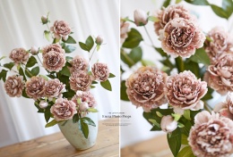 PEONIES - 6 pieces - COFFEE