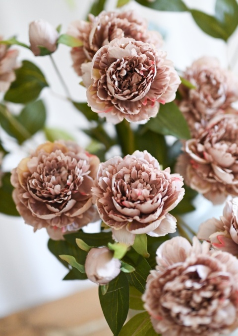 PEONIES - 6 pieces - COFFEE PEONIES - 6 pieces - COFFEE