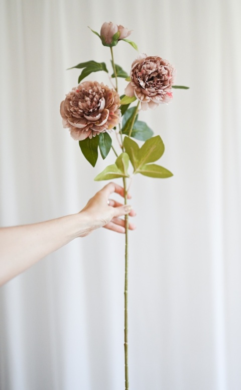 PEONIES - 6 pieces - COFFEE PEONIES - 6 pieces - COFFEE