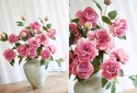 PEONIES - 6 pieces - DARK PINK