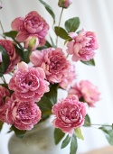 PEONIES - 6 pieces - DARK PINK