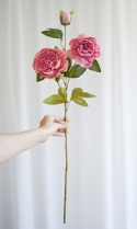 PEONIES - 6 pieces - DARK PINK