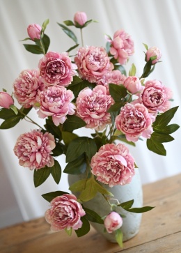 PEONIES - 6 pieces - LIGHT PINK