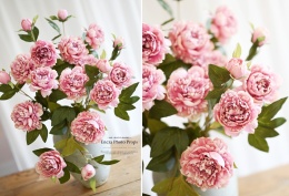 PEONIES - 6 pieces - LIGHT PINK