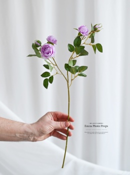 English Roses - PURPLE - 30 pieces