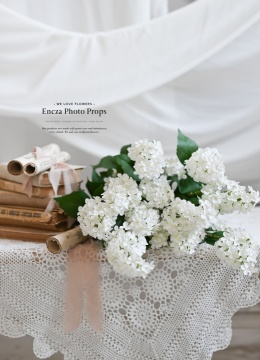 LILAC - WHITE - 12 pieces