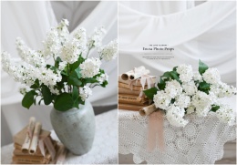 LILAC - WHITE - 12 pieces