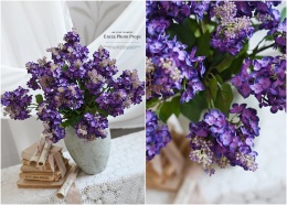 LILAC - DEEP VIOLET - 12 pieces