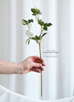 English Roses - WHITE - 30 pieces