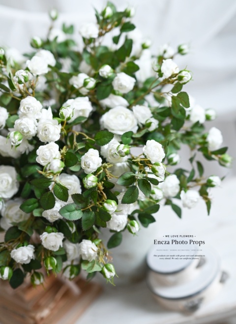 Angielskie różyczki - BIAŁE - 30 sztuk