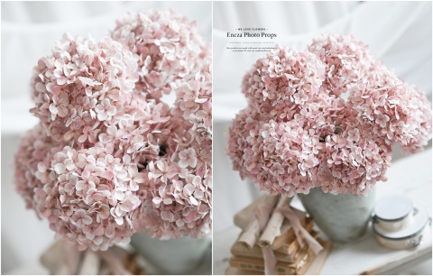 Hortensja - DIRTY PINK - 12 sztuk