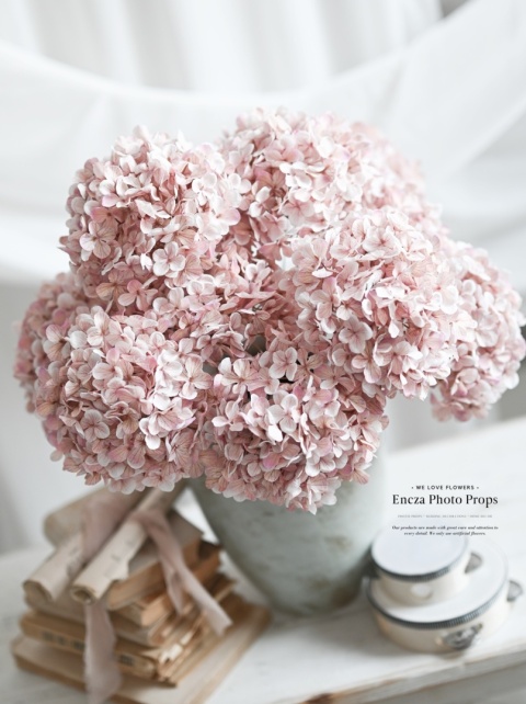 Hortensja - DIRTY PINK - 12 sztuk