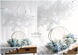 Mini branche pour la session NB - Total White