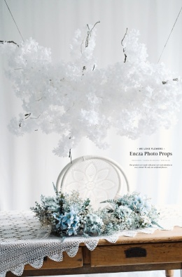 Mini branche pour la session NB - Total White