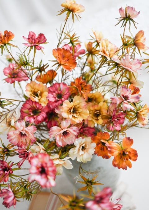 Warszawianka - 12 gałązek