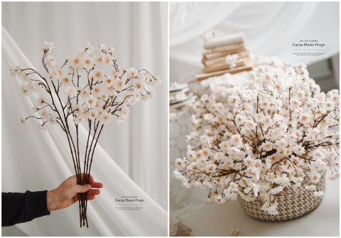 Jabłonka Apricot - 6 sztuk - 60cm