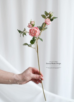 Angielskie różyczki - MAUVE PINK - 30 sztuk